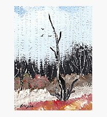 Landscape A1 Photographic Print
