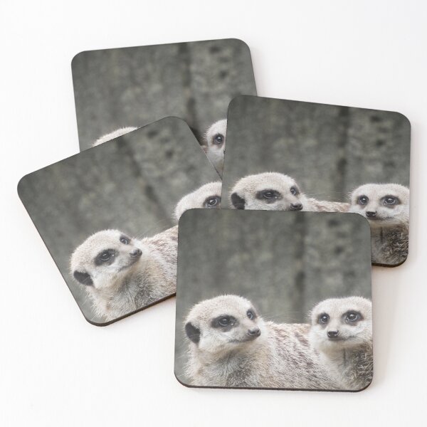 Item preview, Two Meerkats designed and sold by WildandDivine.