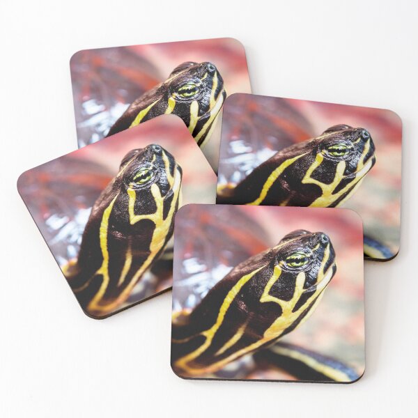 Item preview, Yellow Bellied Slider designed and sold by FOLK ART FUSION by heidiannemorris.