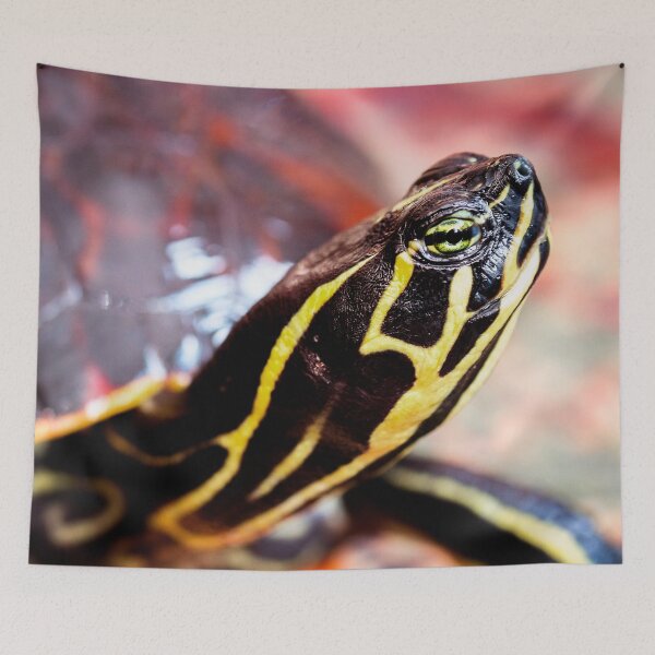 Item preview, Yellow Bellied Slider designed and sold by FOLK ART FUSION by heidiannemorris.