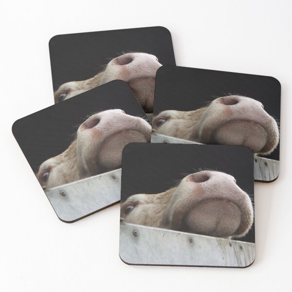 Item preview, Nosy Cow! designed and sold by PPFImages.