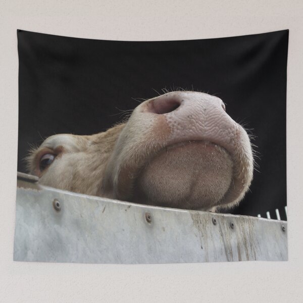 Item preview, Nosy Cow! designed and sold by PPFImages.
