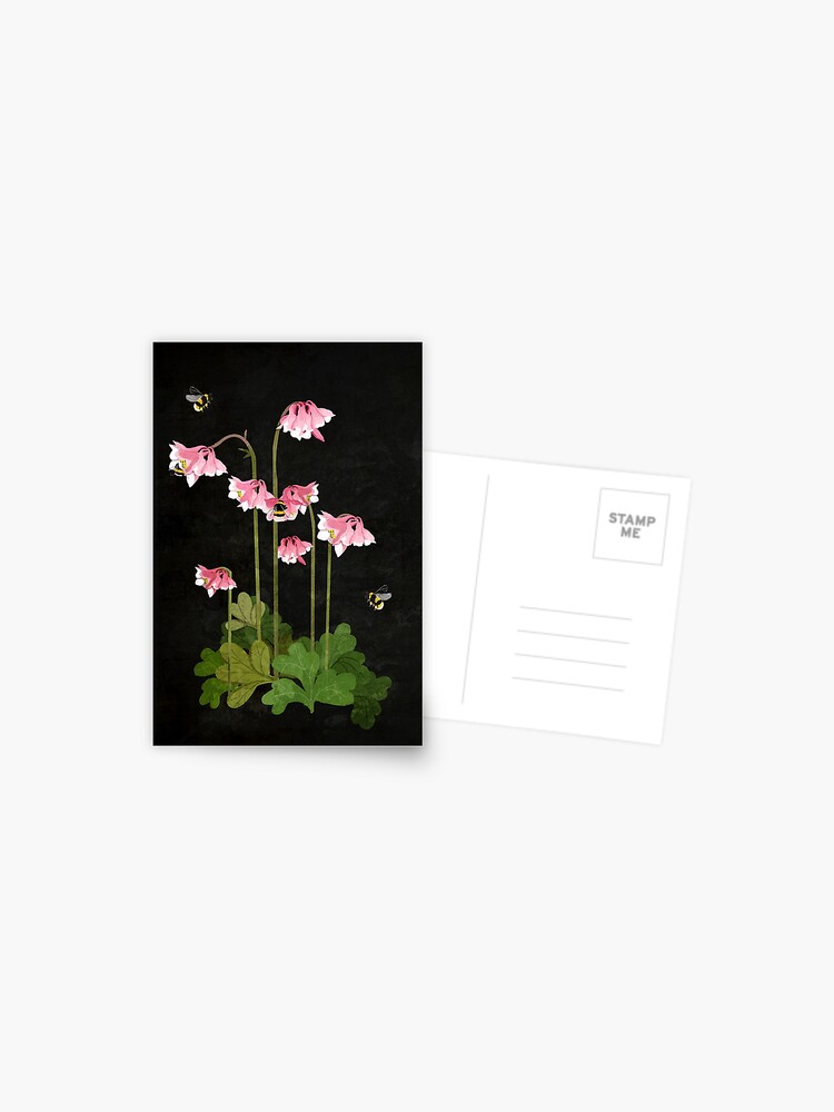 Thumbnail 1 of 2, Postcard, Pink Aquilegia designed and sold by katherineblower.