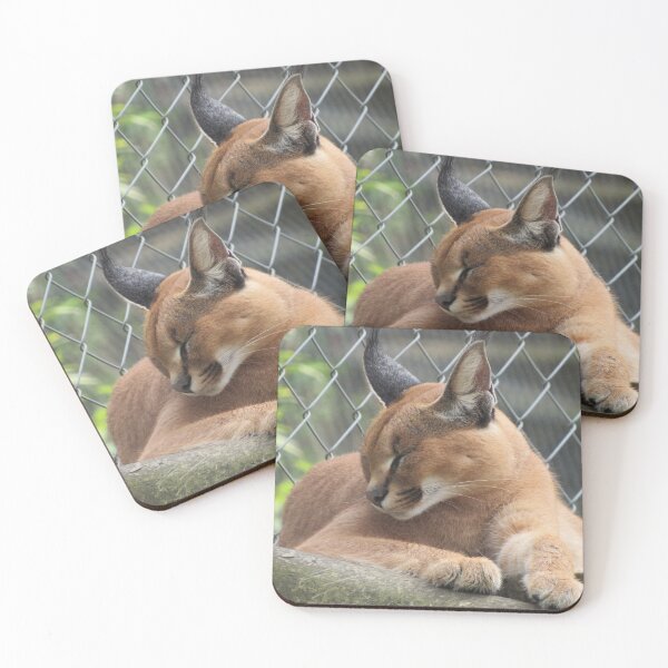 Item preview, Sleeping Caracal Cat designed and sold by WildandDivine.