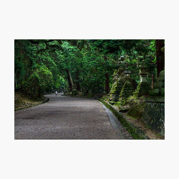 Path of the Shrines Photographic Print