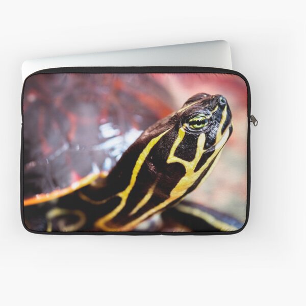 Yellow Bellied Slider Laptop Sleeve