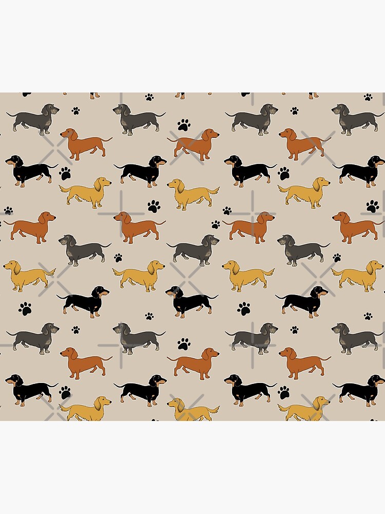 Weenie Weenies (Dachshund Sausage Dog) by LaurasLovelies