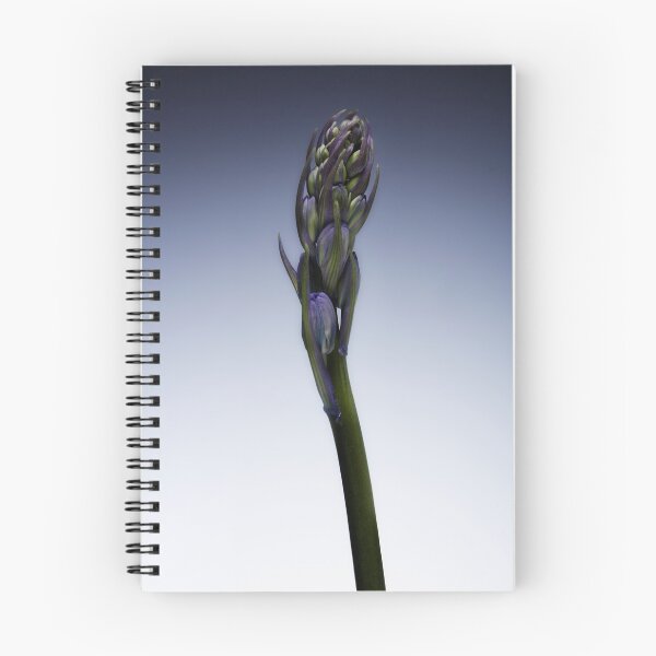 Item preview, The beautiful british Bluebell just before it blossoms designed and sold by Phillip Thornton.