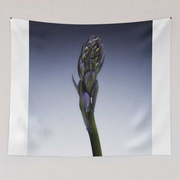 Item preview, The beautiful british Bluebell just before it blossoms designed and sold by Phillip Thornton.