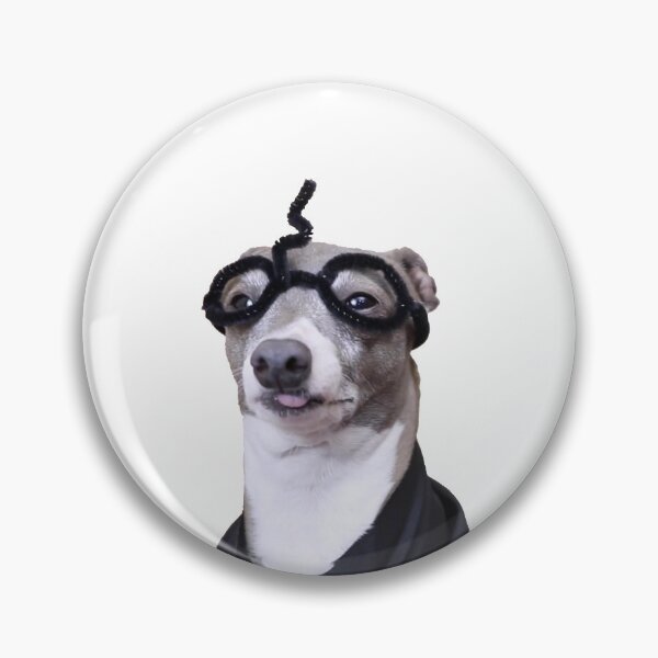 Kermit Potter Pin