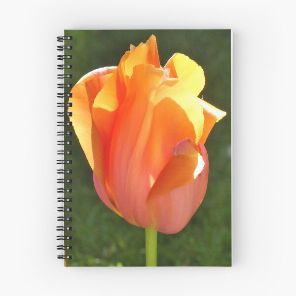 Item preview, Saying Good-bye to tulip time 2020 designed and sold by jchanders.