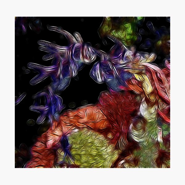 Item preview, Angel Fish designed and sold by Barbara  Jones.