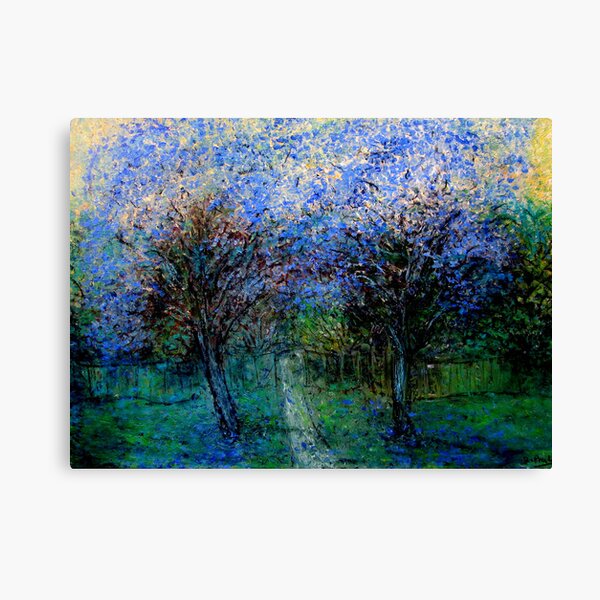 two jacarandas Canvas Print
