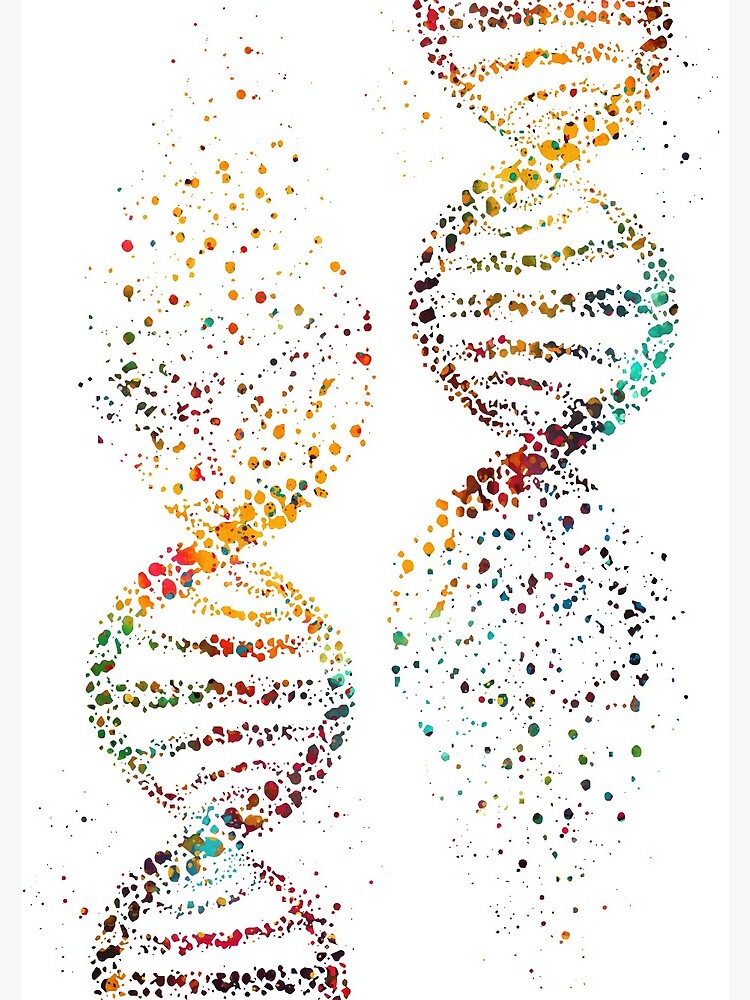 DNA, Watercolor Art,Dna double helix genetic by erzebetth