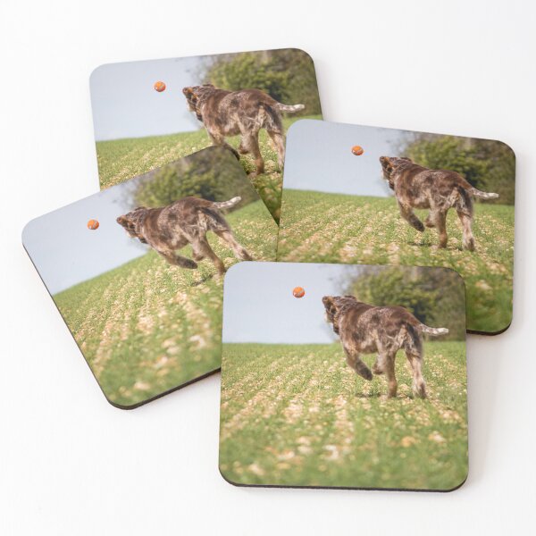 Item preview, Chasing a ball Spinone designed and sold by FOLK ART FUSION by heidiannemorris.