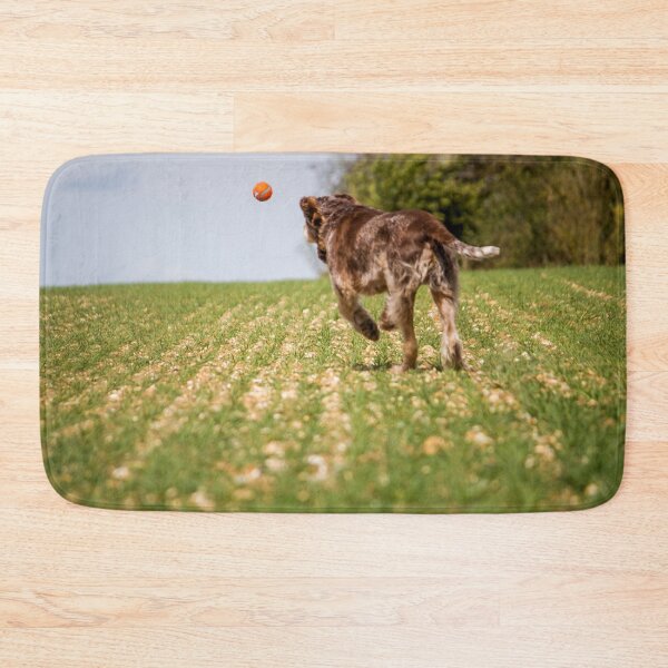 Artikelvorschau, Einen Ball jagen Spinone entworfen und verkauft von FOLK ART FUSION by heidiannemorris.