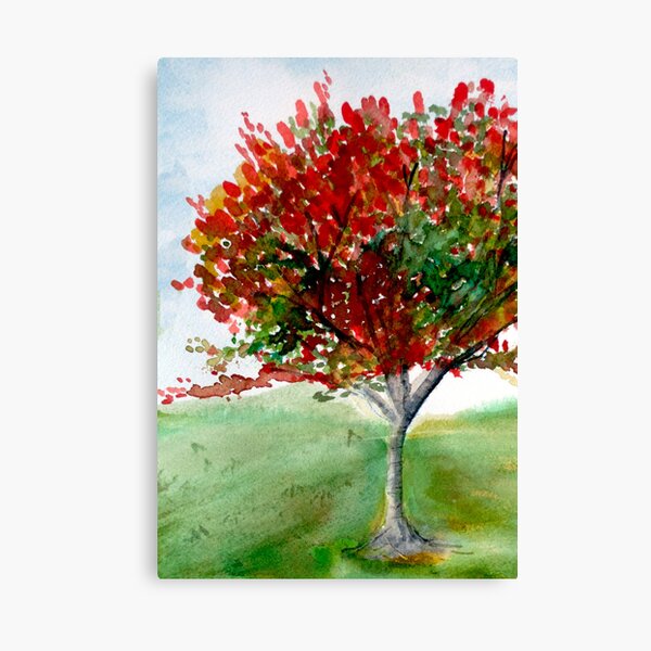 Solo Tree - Colour Canvas Print