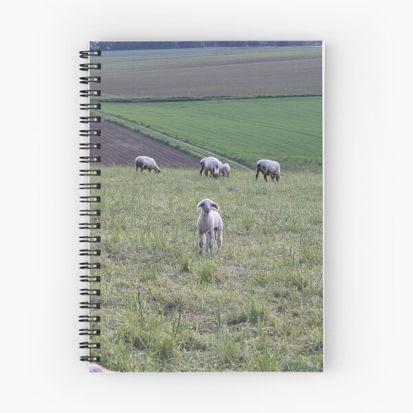 Item preview, Sweet lamb in a meadow original designed and sold by SveaLeona.