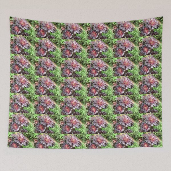 Item preview, Glossy Aeonium -Schwartzkop Purple Succulent designed and sold by GoNatureDesigns.
