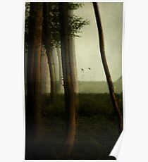 Attempt Poster