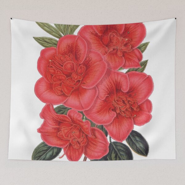 Item preview, Azalea indica François Devos designed and sold by minimalcinema.