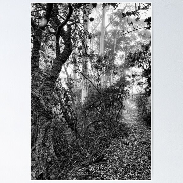 Item preview, Misty Mountain Bush Track in B&W designed and sold by jayneeldred.