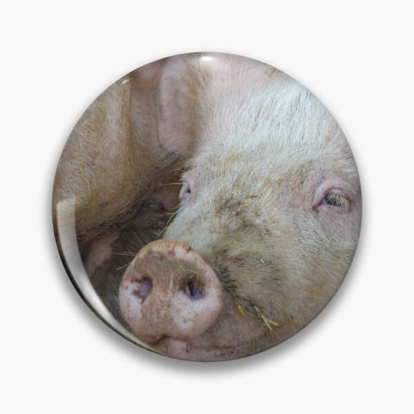 Item preview, Here Piggy Piggy designed and sold by InterestingImag.