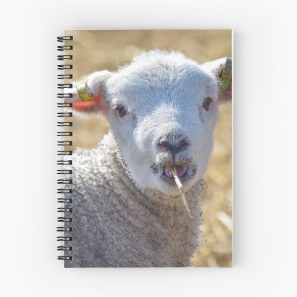 Item preview, Cute lamb designed and sold by InterestingImag.
