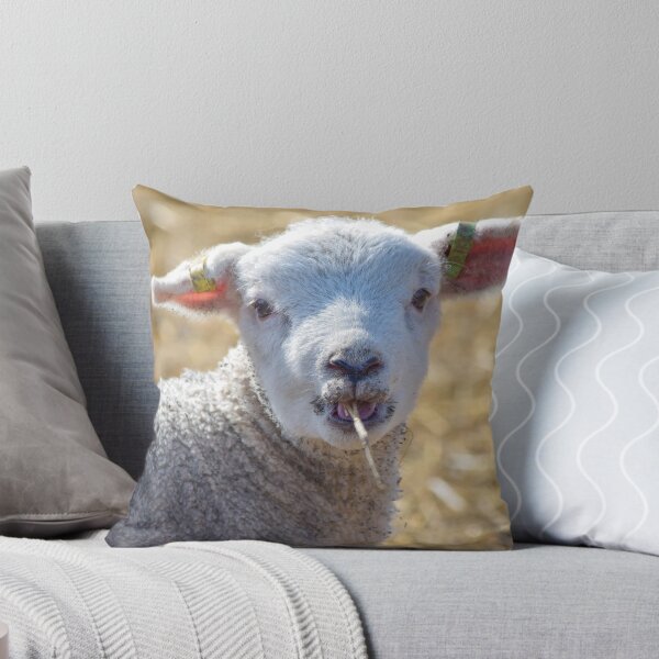 Item preview, Cute lamb designed and sold by InterestingImag.