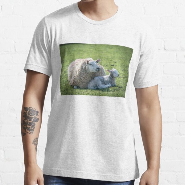 "Mother Sheep and her Lamb" Tshirt for Sale by InterestingImag