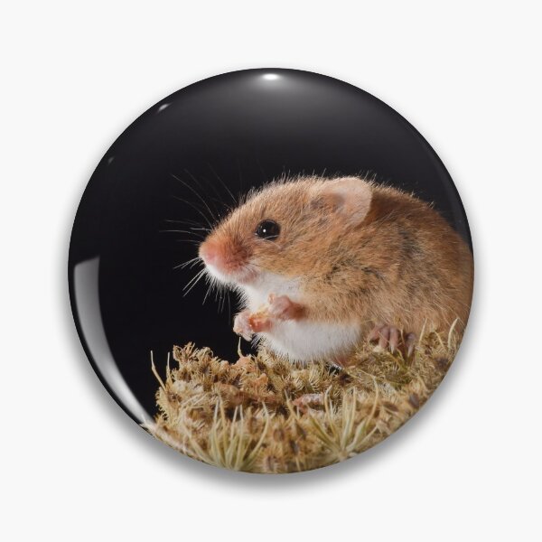 Artikelvorschau, Harvest Mouse Snacking entworfen und verkauft von InterestingImag.