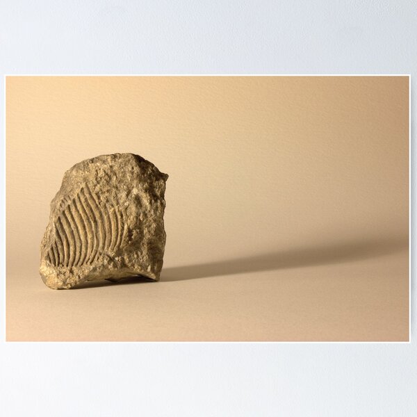 Item preview, The ripple effect designed and sold by CliveOnBeara.
