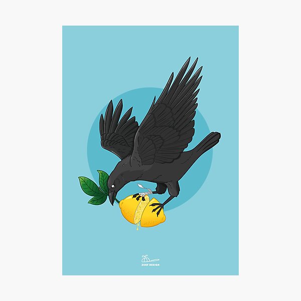 Lemon crow Photographic Print