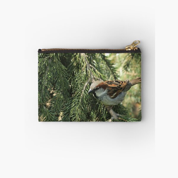 Item preview, Perched. Bird on a branch. designed and sold by picturedlcphoto.