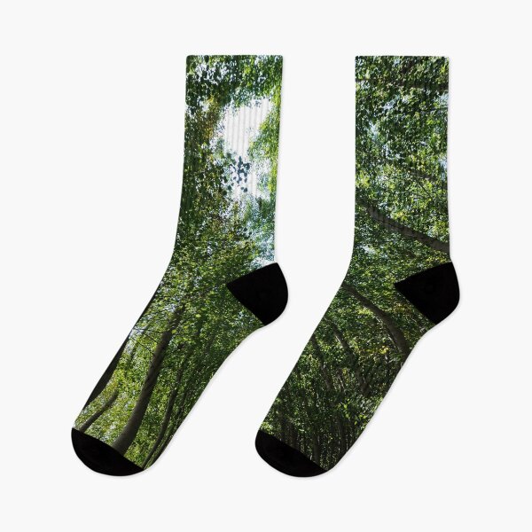 Item preview, Forest designed and sold by OrionPhotograph.