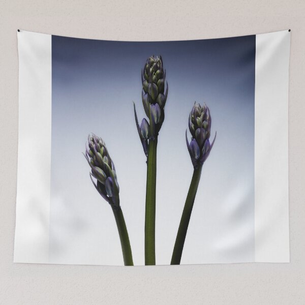 Item preview, Three beautiful british Bluebells just before they blossom designed and sold by Phillip Thornton.
