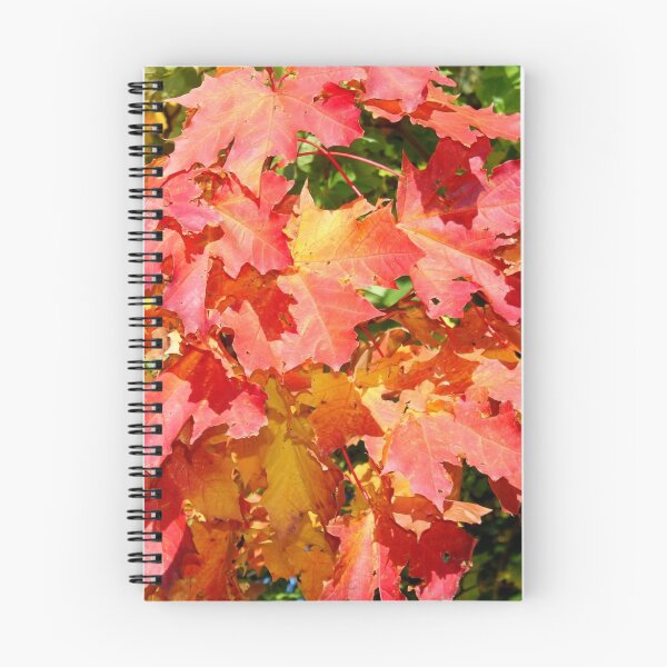 Item preview, Autumn Colour designed and sold by AnnDixon.