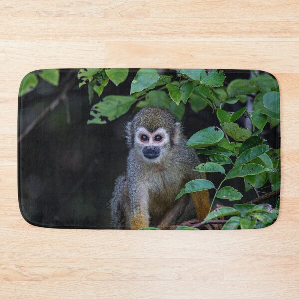 Item preview, Monkey in Amazon Rain Forest on Brazil designed and sold by Guarany.