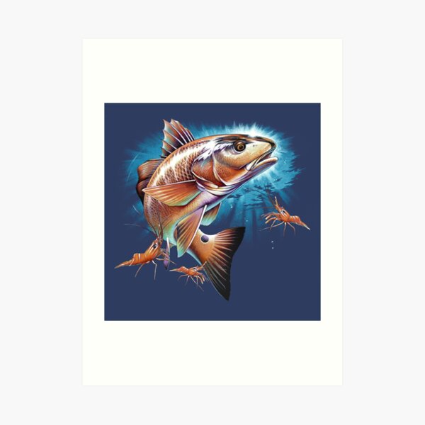 Redfish Art Print for Sale by Salmoneggs