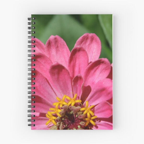 Item preview, Pretty in Pink.  Bloom horizon. designed and sold by picturedlcphoto.