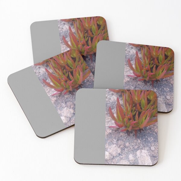 Item preview, Blush Succulent designed and sold by MeyrellesMartin.