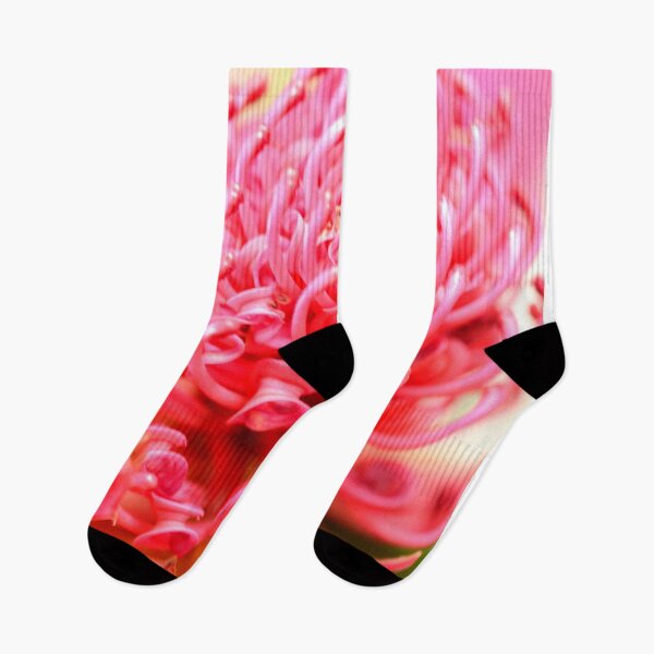 Item preview, The Waratah designed and sold by imaginethis.