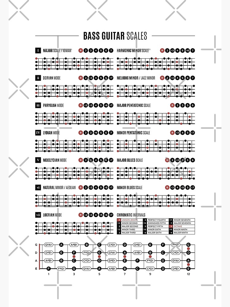 Bass Guitar Scales & Modes Chart | Poster