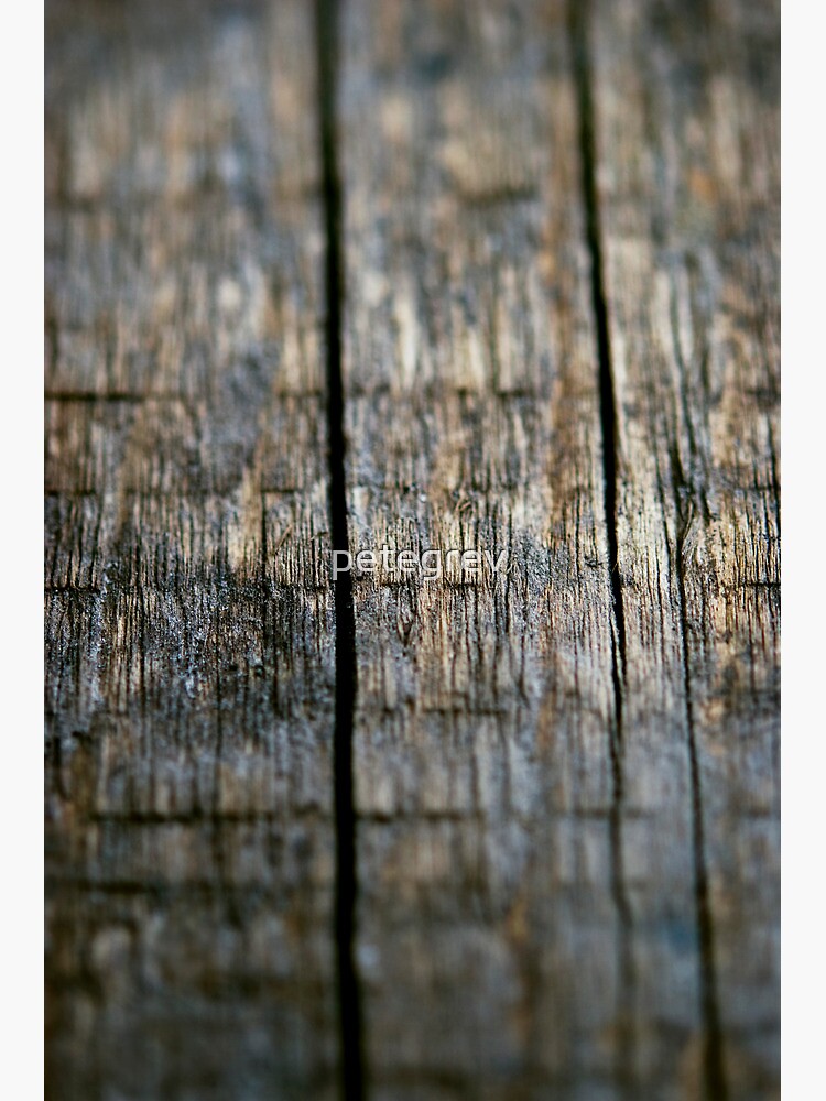 Day 366 - 10th July 2012 by petegrev