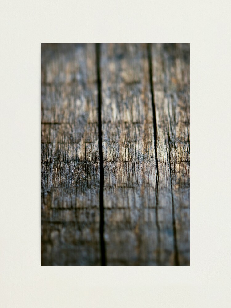 Alternate view of Day 366 - 10th July 2012 Photographic Print