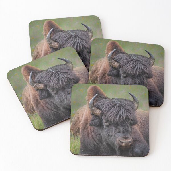 Item preview, Bison on Alaska Highway designed and sold by Yukondick.