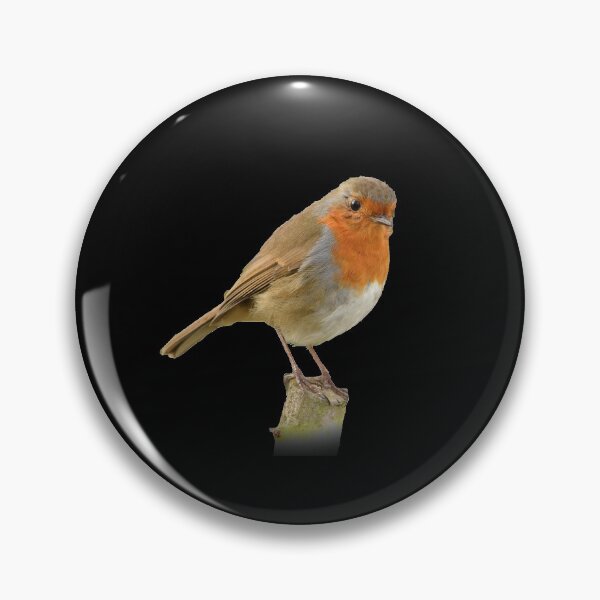 Artikelvorschau, Netter Vogel entworfen und verkauft von InterestingImag.