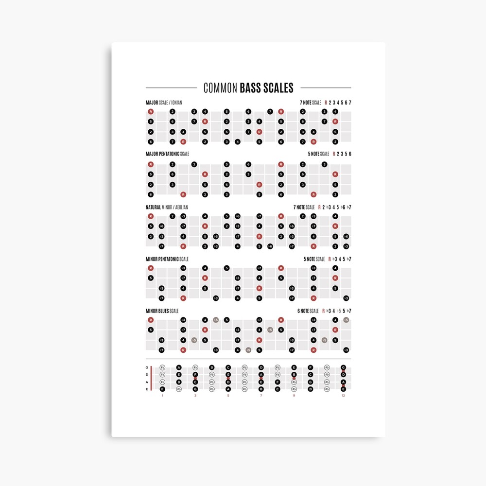 Five String Bass Guitar Common Scales Poster ubicaciondepersonas.cdmx