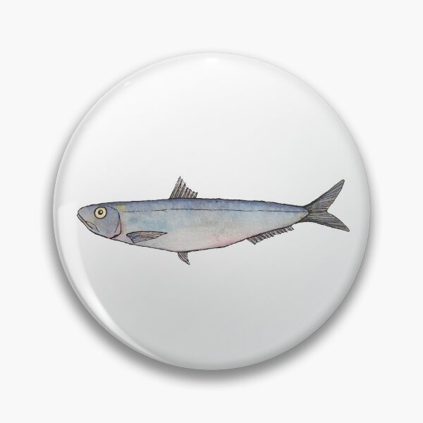 Artikelvorschau, Sardine: Fisch aus Portugal entworfen und verkauft von Best Fish Boutique.
