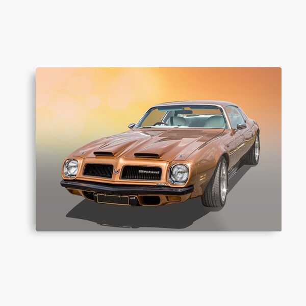 74 Firebird Metal Print